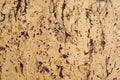 Cork wall light brown with dark brown spots Royalty Free Stock Photo