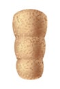 Cork wine stopper. Corkwood plug. Wine stopper. Wooden bung for bottle, equipment for alcohol winery production. Wooden