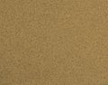 Brown empty corkboard template