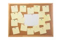 Corkboard and blank paper notes. Royalty Free Stock Photo