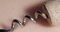 Corkscrew Royalty Free Stock Photo