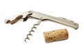 Corkscrew & Cork