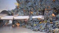 Corkscrew crusher destemmer in winemaking with cabernet grapes