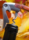 The corkscrew opens a bottle of wine on a festive bright background. Royalty Free Stock Photo