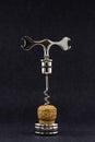 Corkscrew for status connoisseurs of wine and sommelier