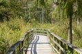 Corkscrew Swamp Sanctuary boardwalk Naples Florida Royalty Free Stock Photo