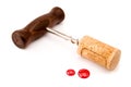 Corksrew isolated with wine Royalty Free Stock Photo