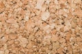 Corkwood texture macro. wooden background