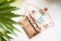 Corkwood wallet and money on a white background. Ten, twenty and fifty euro bills and some coins. Royalty Free Stock Photo