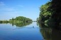 Cormorant bird in river, Lithuania Royalty Free Stock Photo