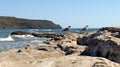 Cormorant birds on the seashore. Sea rocky shore. Turquoise sea. Beautiful seascape. Royalty Free Stock Photo