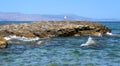Cormorant birds on the seashore. Sea rocky shore. Turquoise sea. Beautiful seascape. Royalty Free Stock Photo