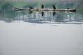 Cormorant fisherman birds and bamboo boats on the Li River in Yangshuo, Guangxi, China