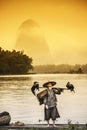 Cormorant Fisherman