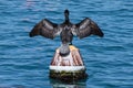 A cormorant is perched on a buoy inside a fishing port.