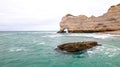 Cormorant on a Rock in Stormy Waters at Etretat Beach, France Royalty Free Stock Photo