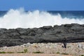 Cormorant & Rough Sea, Tsitsikamma National Park, South Africa Royalty Free Stock Photo