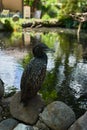 Cormorant sits on a stone on the background of a lake