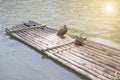 Cormorants and bamboo raft Royalty Free Stock Photo