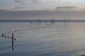 Cormorants on Fishing Stakes Royalty Free Stock Photo