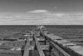 Cormorants on an old pier in Punta Arenas, Chile Royalty Free Stock Photo