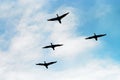 Cormorants Phalacrocorax carbo group silhouette flying high up in a V formation against the cloudy sky. Bird migration concept. Royalty Free Stock Photo