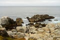 Cormorants resting on the rocks