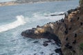 Cormorants on the rocks