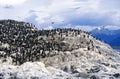 Cormorants On Rocks Near Beagle Channel And Bridges Islands, Ushuaia, Southern Argentina