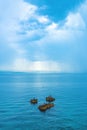 Cormorants and seagulls resting at the sea close to the shoreline with rainy storm cloud in background Royalty Free Stock Photo