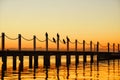 Cormorants sitting on a chain at sunrise