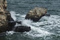 Cormorants sitting on a rock between waves