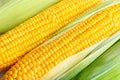 Corn