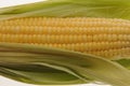 Corn