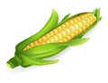 Corn