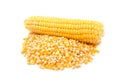 Corn Royalty Free Stock Photo