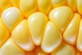 Corn Royalty Free Stock Photo