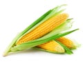 Corn