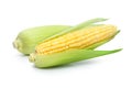 Fresh corn vegetable with green leaves on white background Royalty Free Stock Photo