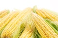 Corn Royalty Free Stock Photo