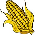 Corn