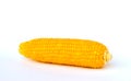 Corn Royalty Free Stock Photo