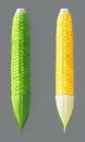 Corn - abstract digital art