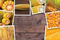 Corn in agriculture, photo collage Royalty Free Stock Photo
