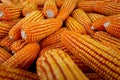 Corn for animal feed, Corn texture. Yellow corns as background Royalty Free Stock Photo