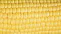 corn background, macro closeup Royalty Free Stock Photo