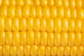 Corn background, macro closeup Royalty Free Stock Photo