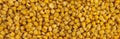 Corn background and texture. Yellow seeds. Panorama. Royalty Free Stock Photo