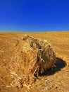 Corn bale on the ground. Agriculture field with blue sky. Rural nature in the farm land. Straw on the meadow. Corn harvest in Royalty Free Stock Photo