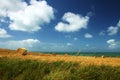 Corn bales with beautiful sea sight Royalty Free Stock Photo